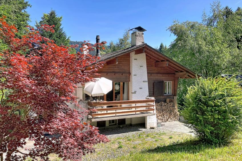 Chalet Chaudoudoux - Les Paccots