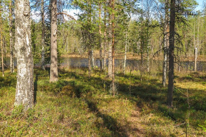 Kulpakko 3 - foto 8