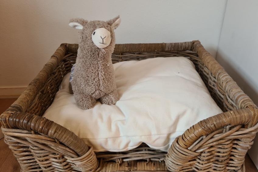 Gipfelstürmer - foto 16