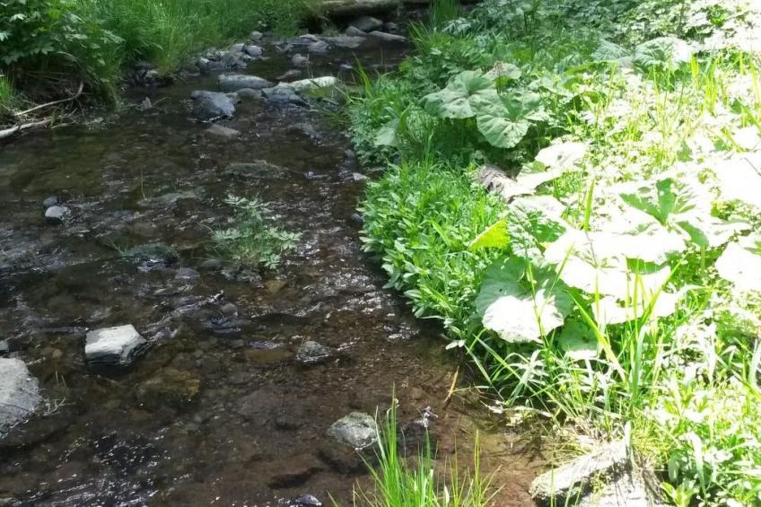für 6 Personen im Thüringer Wald - foto 13