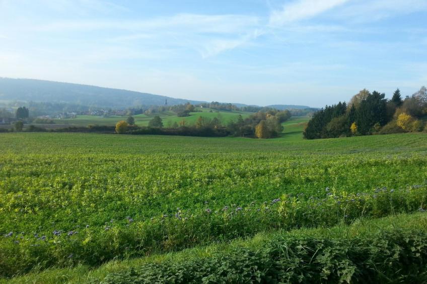 mit einer umwerfenden Panoramaaussicht - foto 44