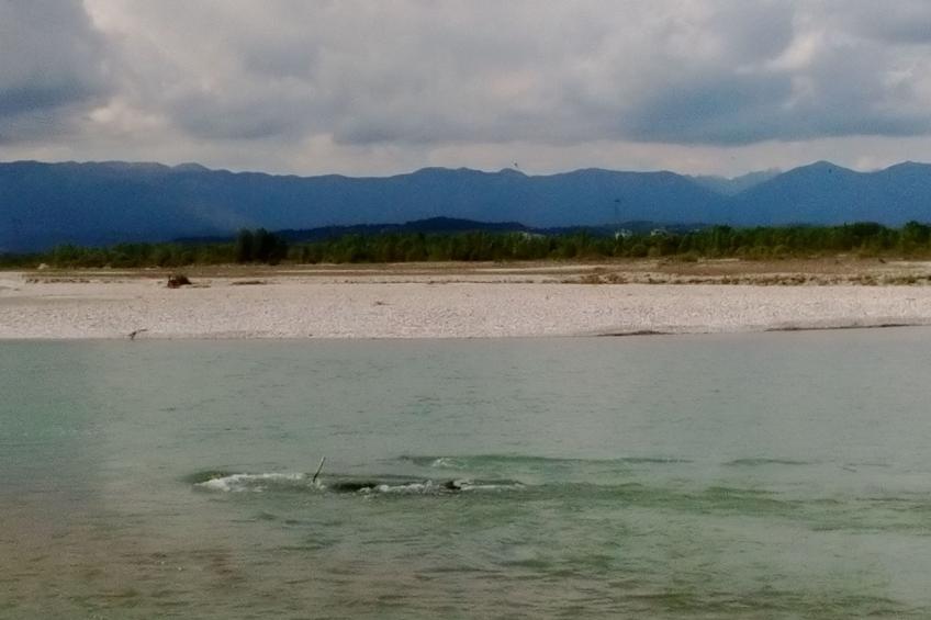 auf einem ummauerten Grundstück - foto 38