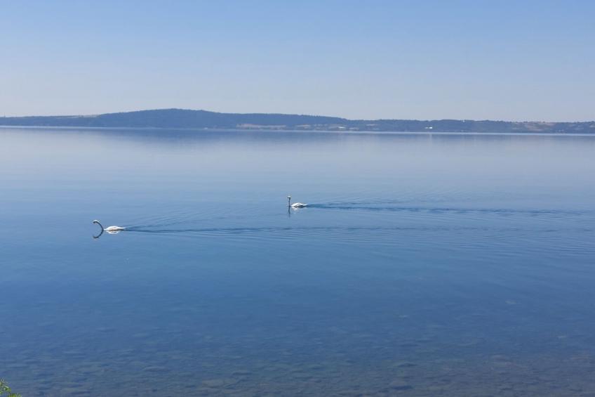 Luky House by Holiday World - foto 18