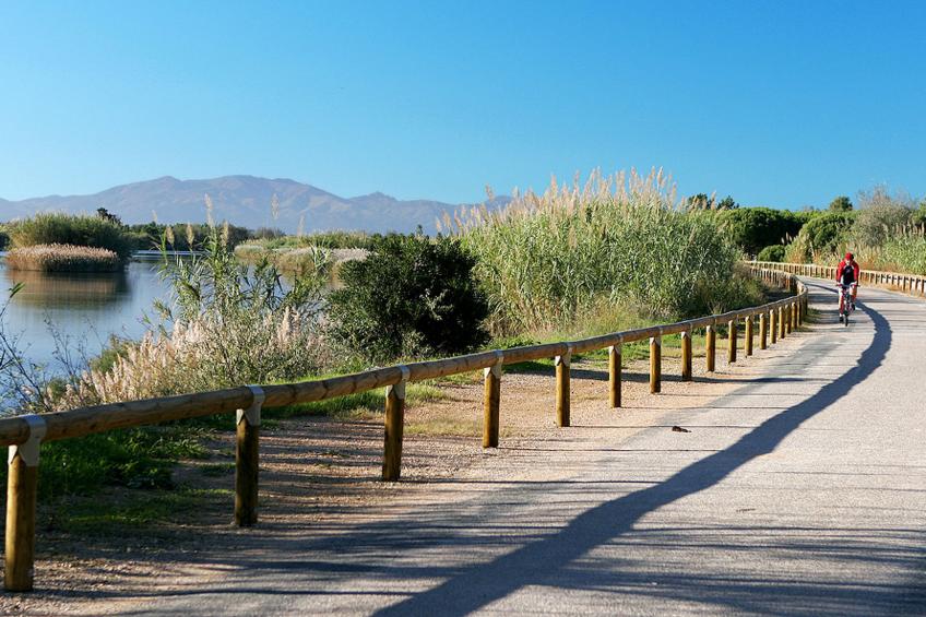 Estany - foto 47