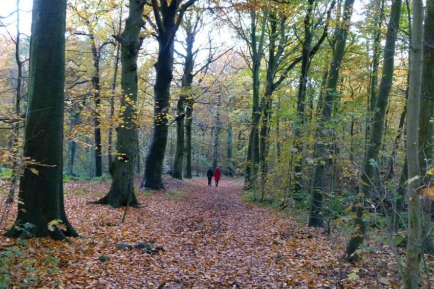 Strandpark Vlugtenburg 7 - foto 39