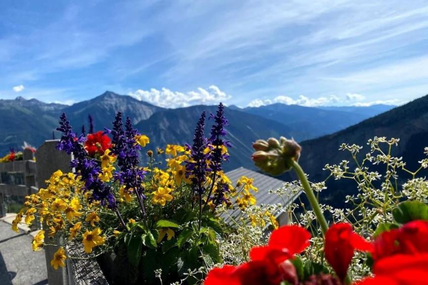 Chalet Abendstern - foto 4