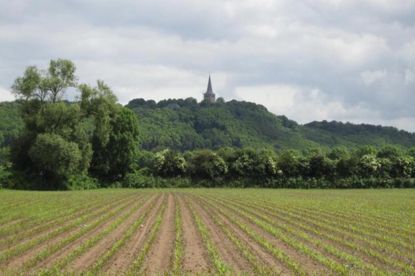 Spijk vakantiehuis - foto 11