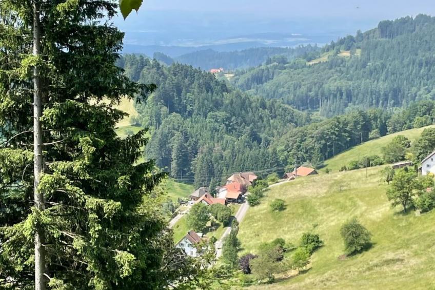 Haus Alpenblick - foto 4