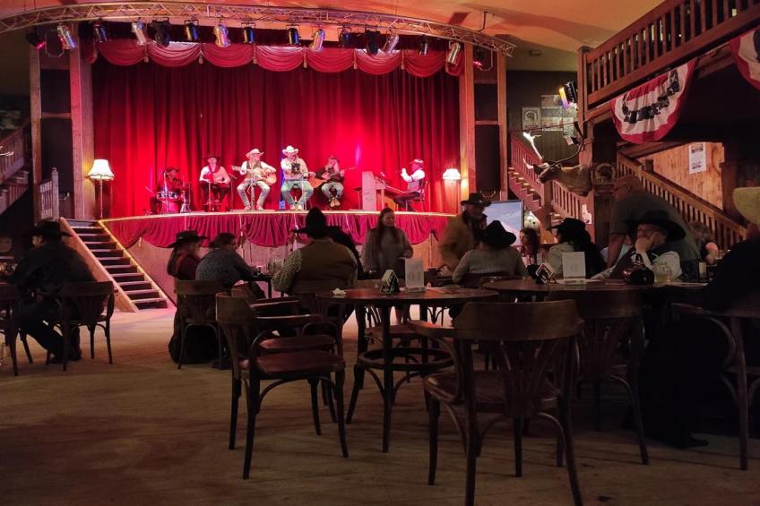 Ferienhaus in Hasselfelde - Haus 59 Blauvogel - foto 30