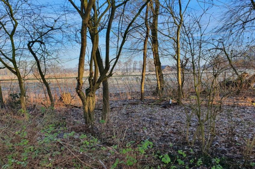 Koe in de Kost 3 - foto 32