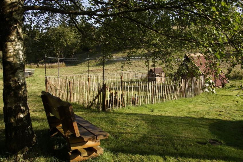 Wiesengrund - foto 23