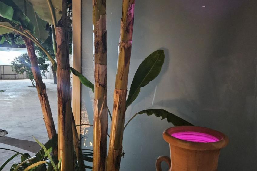 Wohnung 'Serendila' mit Wallbox - foto 33