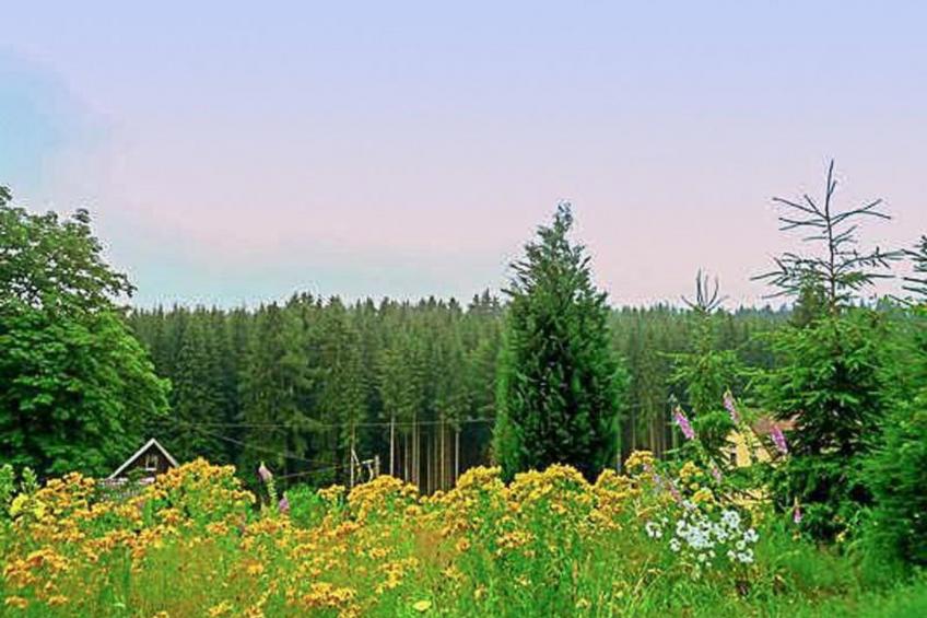 Appartement mit Bergblick - foto 10