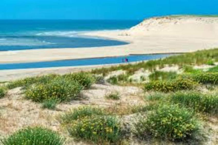 Residence Open Sud - foto 28