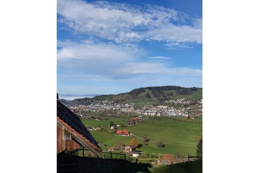 87981 - foto 7