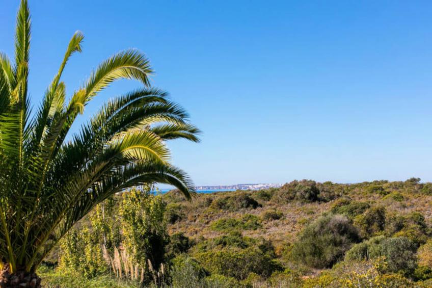 Casa Jaime - foto 53