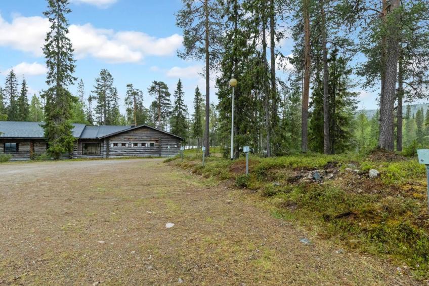 Metsä-luosto - foto 3