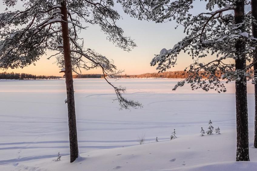 Villa kallas - foto 29