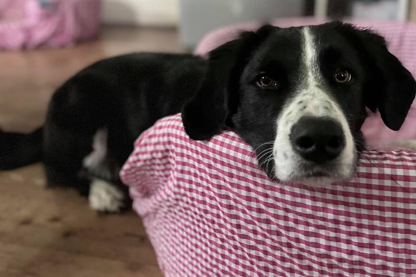 Kellerstöckl am veganen Bio-Lebenshof - Varm - the vegan Farm - foto 43