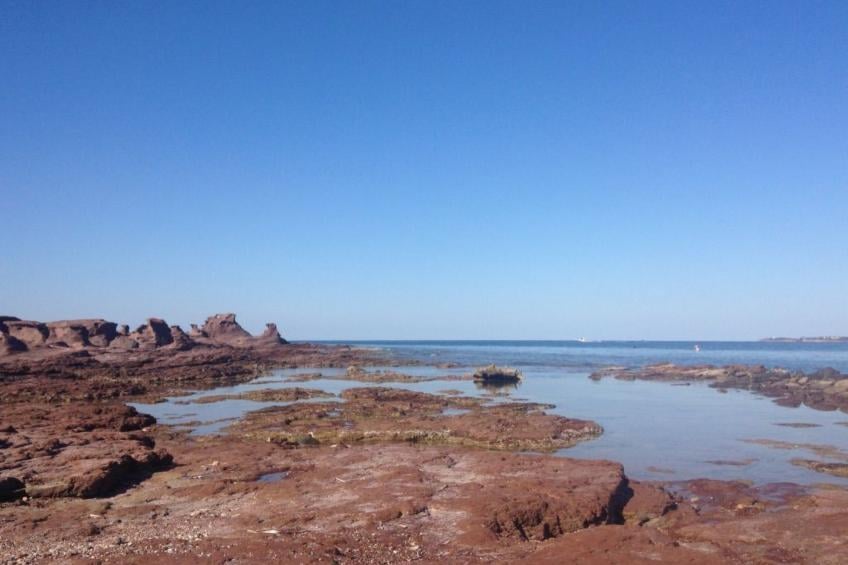 Salina - Elicriso - foto 17