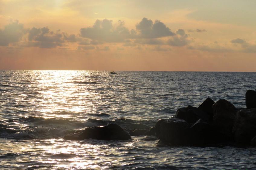 Ferienwohnung - foto 19