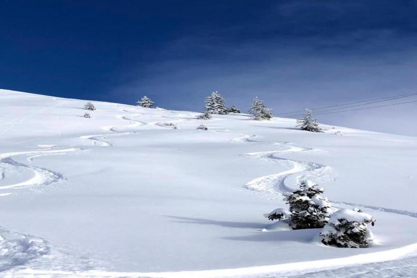 Chalet Le Refuge - foto 18