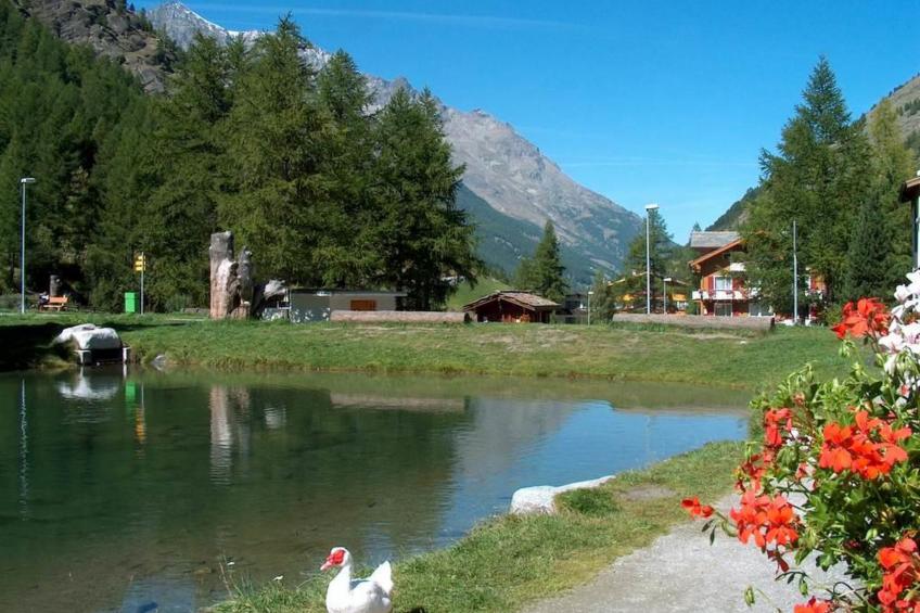 Alpin-Lodge - foto 11