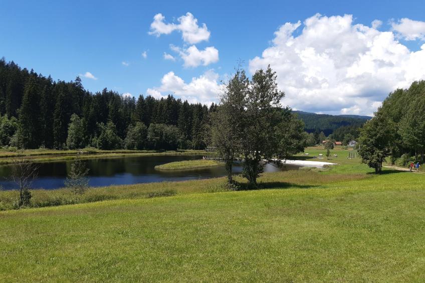 AnNo Wohlfühlplatzl - foto 21