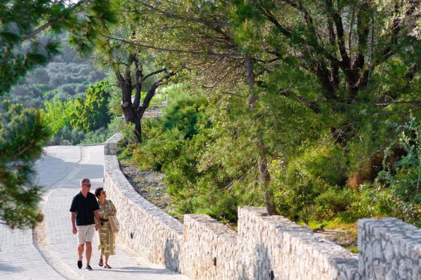 Massari-Hügel - Violetta - foto 32