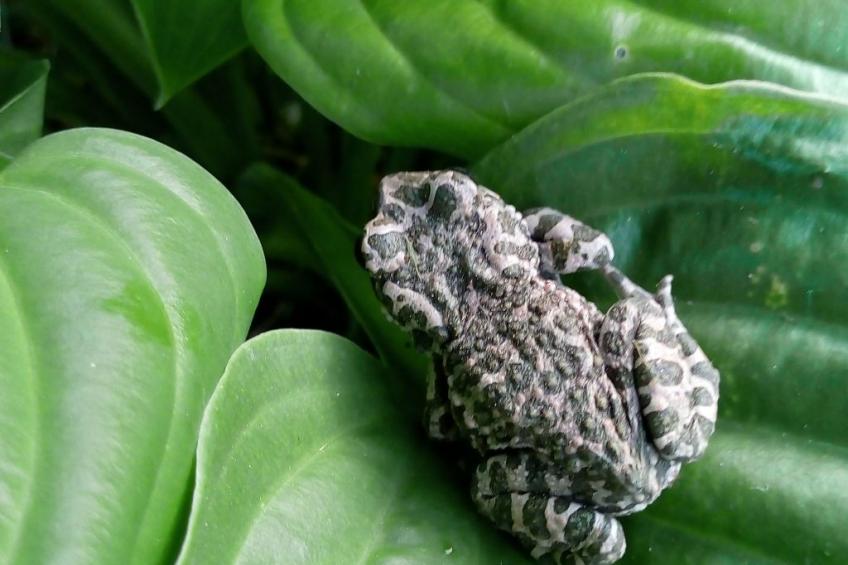 Ländlicher Tourismus - foto 17