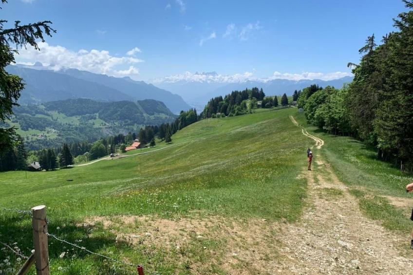 Les Narcisses,Blonay - foto 15