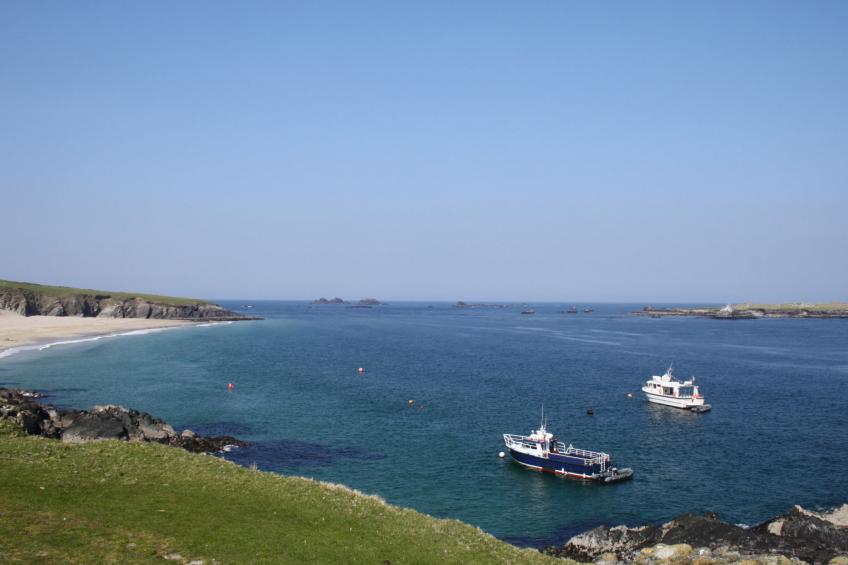 Dingle CY (TR4) - 3 Bed NO 2 - foto 4