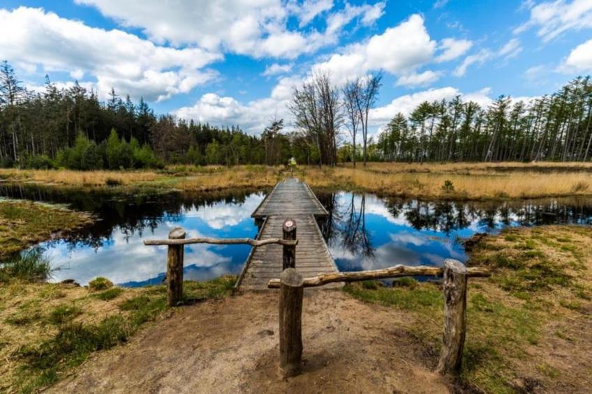 Haulervaart - foto 34