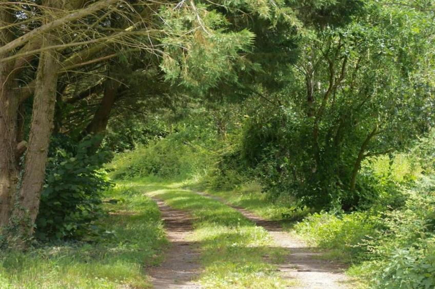 Maison de vacances - ST LAURENT-DES-MORTIERS - foto 36