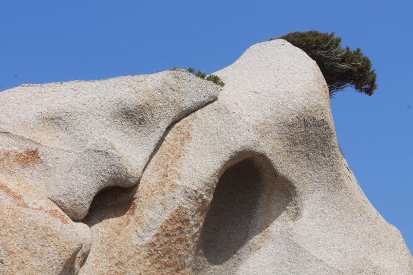 Stazzo mit Garten in Luogosanto - foto 48