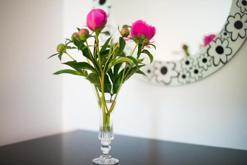 Appartement in Zasip mit Möblierter Terrasse - foto 21