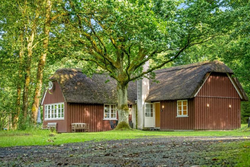 "Fina" - 15km from the sea in Western Jutland - foto 19