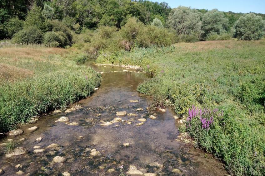 in Celles-En-Bassigny  umzäunter Garten - foto 23