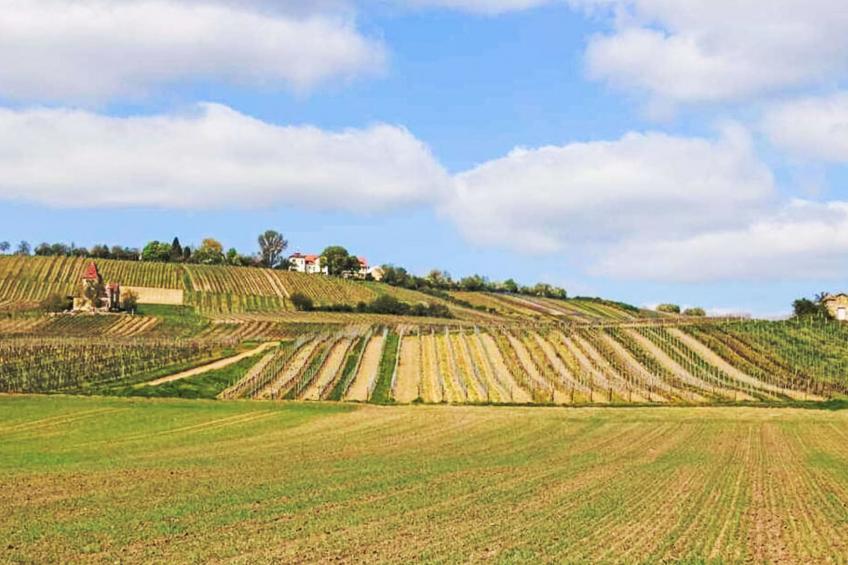 Tinkerhof Stahlhut - foto 20