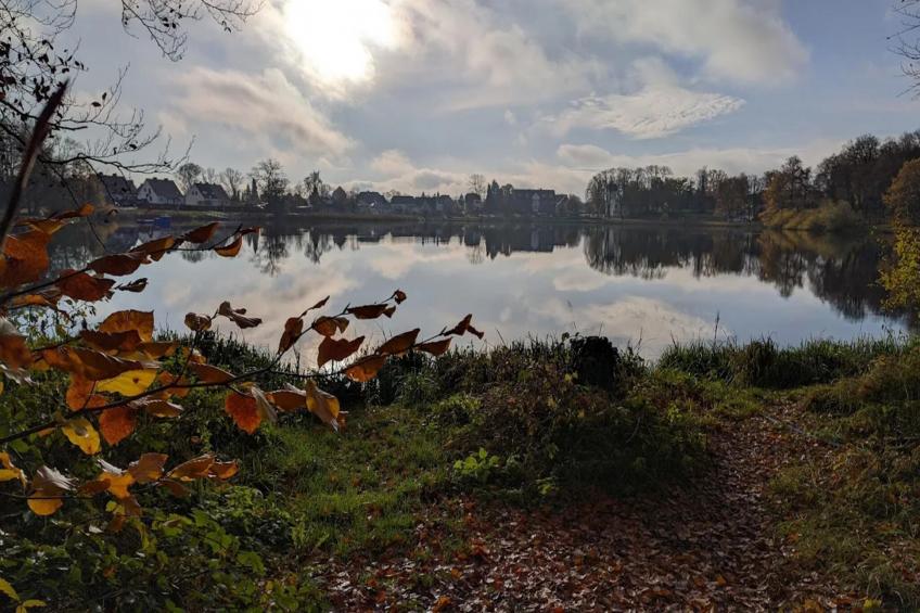 Fewo Päpke - foto 31