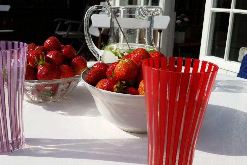 Bauernhaus-Wohnung bei Göta Älv in der Nähe von Göteborg - foto 14