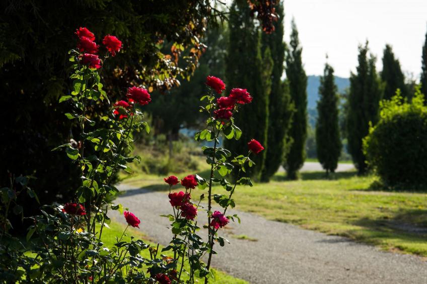 Wohnung "El Corral" mit Terrasse - foto 37