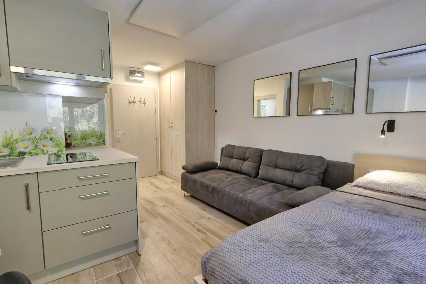 Cozy and Chic Apartment in Kranjska Gora - Studio Apartment - foto 12