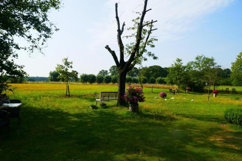 Boszicht 4 personen - foto 33