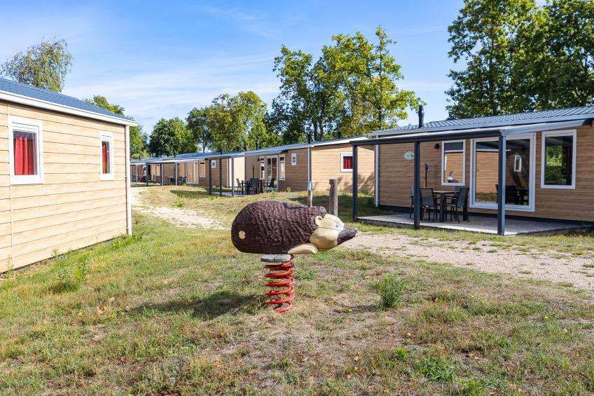 Chalet - De Duinhoeve 'Bosdier' - Maireweg 7 | Burgh-Haamstede - foto 35