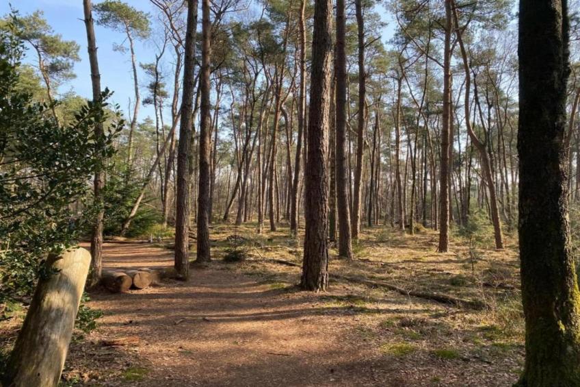 Park Haarle - foto 31