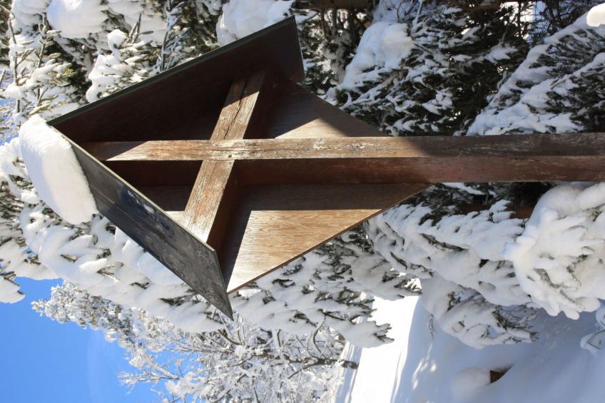 Palmgarten - foto 21