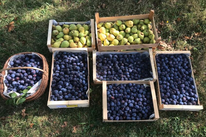 The Grange - foto 36