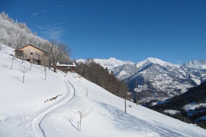 Stirnimann-Gemsch, (Valzeina), stirnimann-gemsch_valzeina - foto 10