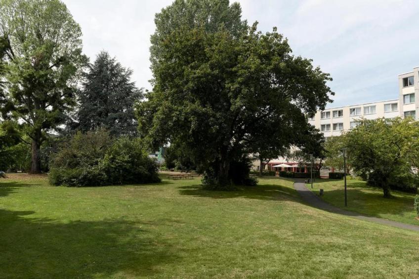 Seminaris Hotel Bad Honnef - foto 5